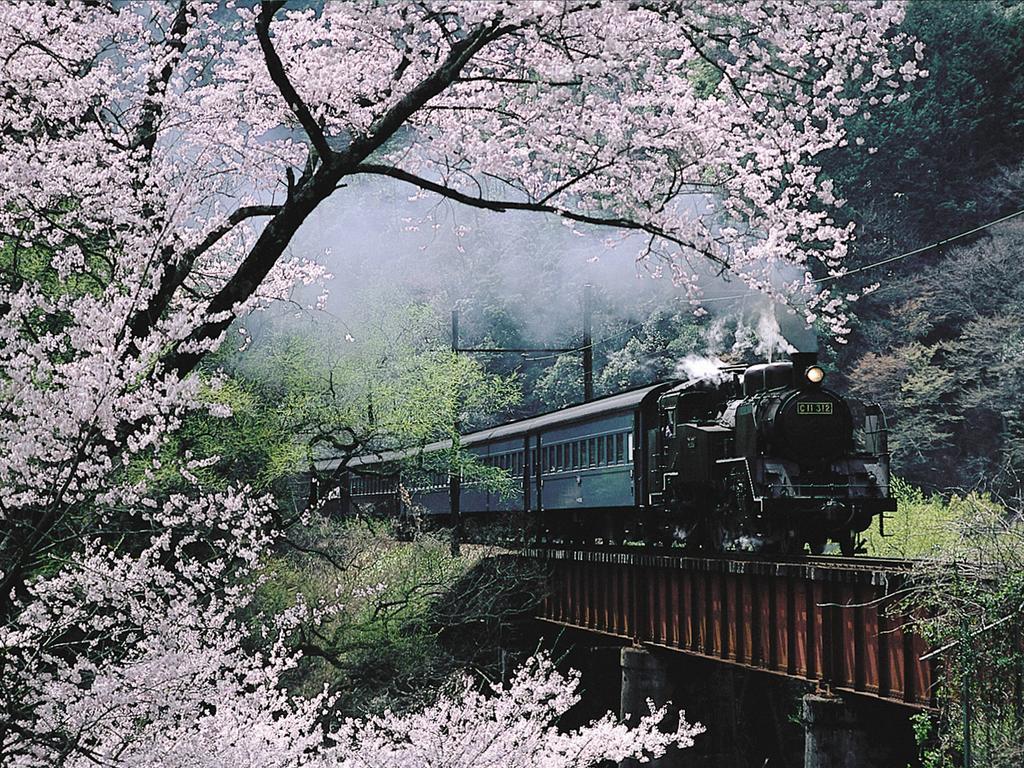Suikoen Hotel Shizuoka Buitenkant foto